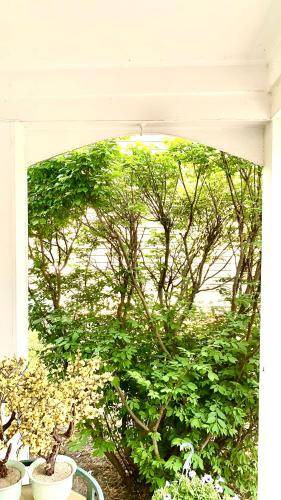 Naperville Bed & Breakfast | 14 m² Bed and breakfast ∙ 1 bedroom ∙ 2 guests
