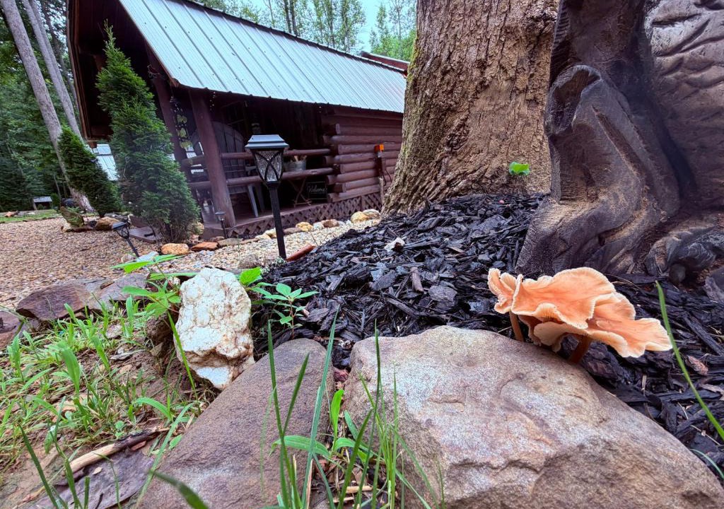Cosby House | Big Bear Log cabin