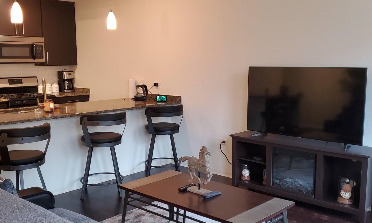 Evanston Condo | Chicago's Hidden Treasure, "EVANSTON, IL"