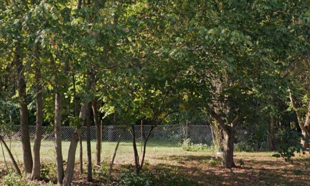 Murphysboro RV Rental | Eclipse Campsite 1