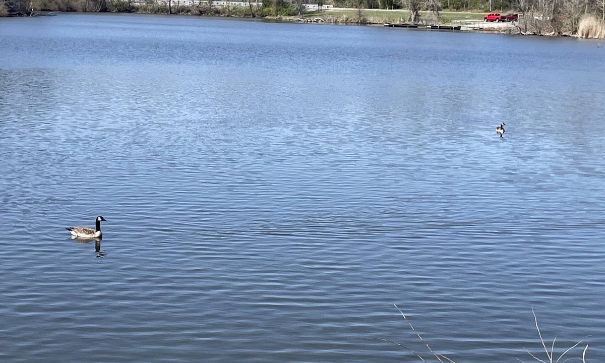 Carbondale RV Rental | Eclipse Campsites Available. Waterfront views