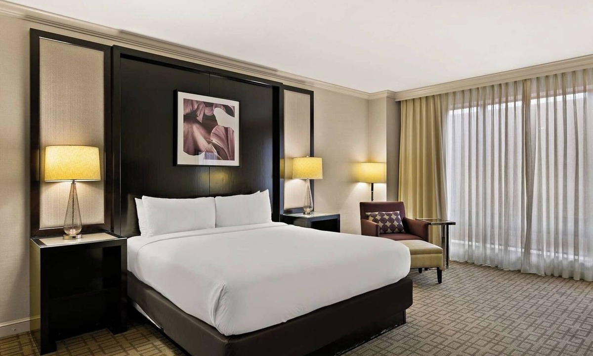 Downtown Baltimore Hotel | Ensuring a Very Comfortable & Memorable Stay! Near Camden Yards, Pet-Friendly