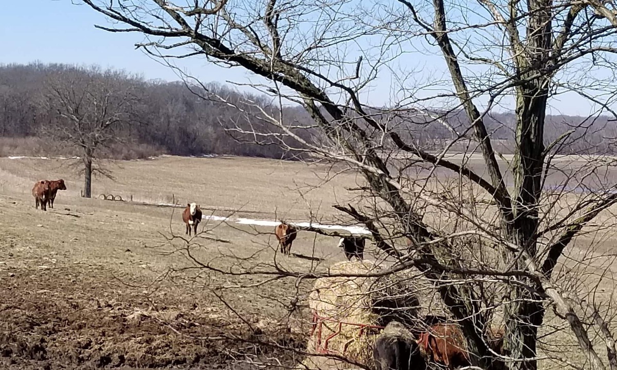 Lakewood House | LAKE SHELBYVILLE KIMBLE'S FARMHOUSE. SLEEPS 9
