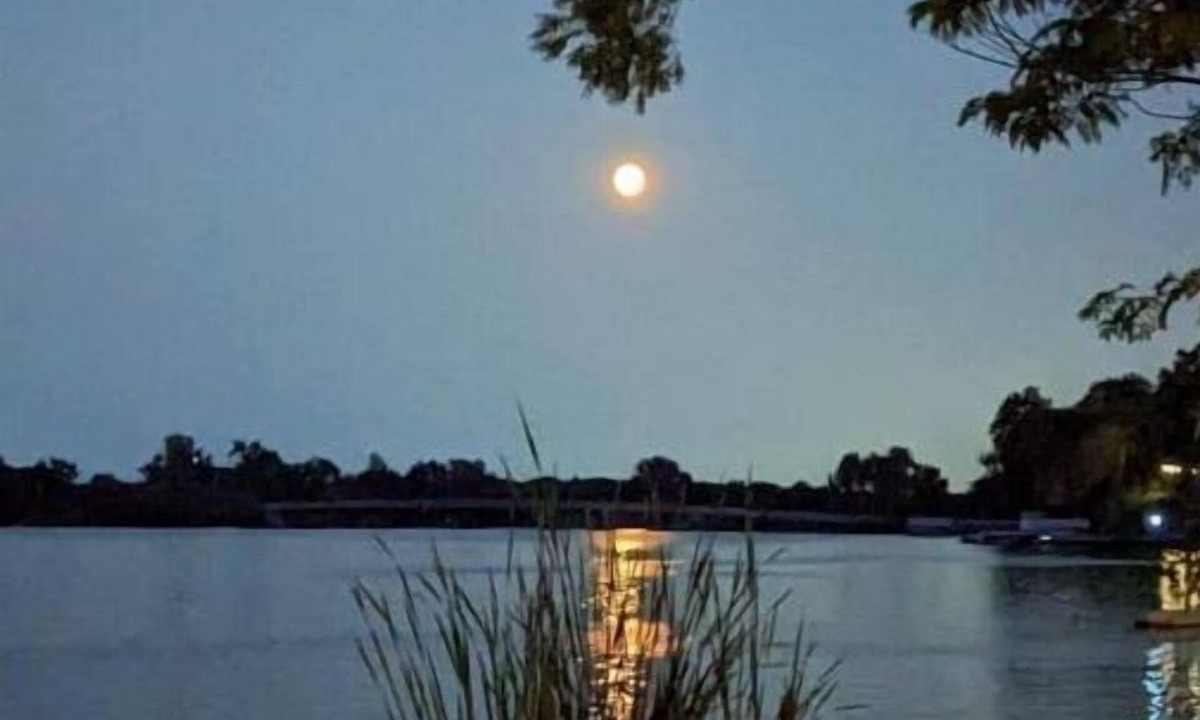 Solon Mills House | Lakefront Comfy 1BR Cabin @ The Lake-Heim by Chain-O-Lakes