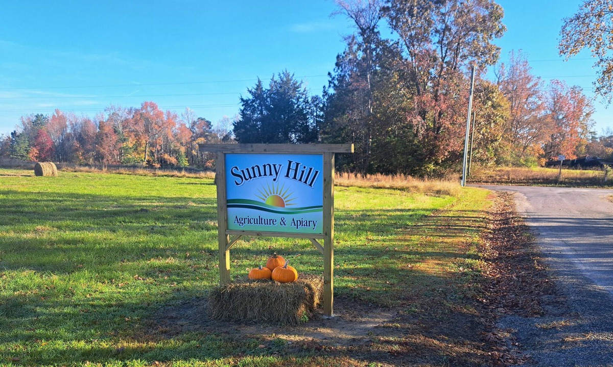 Carsley House | Modern Bunkhouse in a rural Virginia setting near Williamsburg & Smithfield