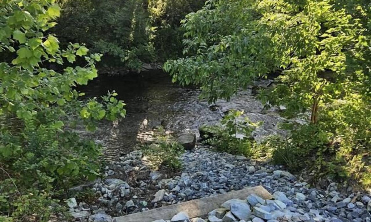 Mount Holly Springs Hotel | Mountain Creek Tavern