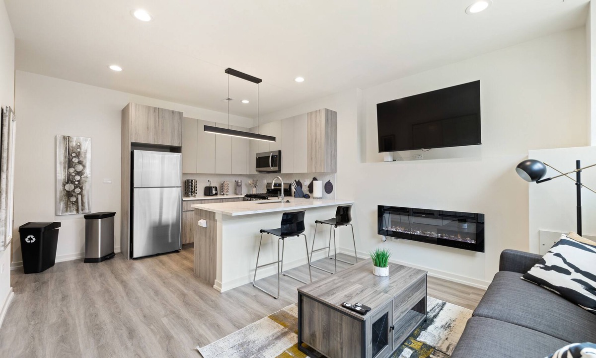 Woodlawn Apartment | NEW modern 2BR apt near UofChicago & Hyde Park w/free Parking & pet-friendly!