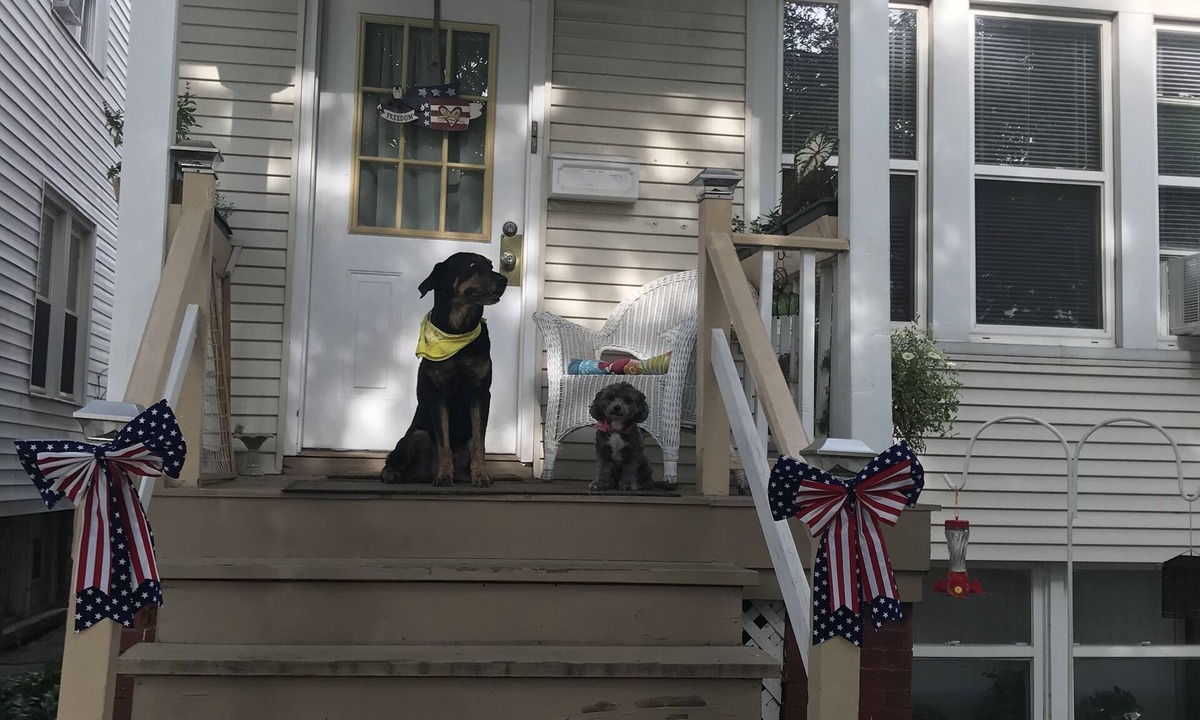 Irving Park Apartment | Pup Friendly Apartment with Fenced Backyard