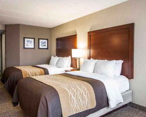 Naperville Inn | Orland Hills