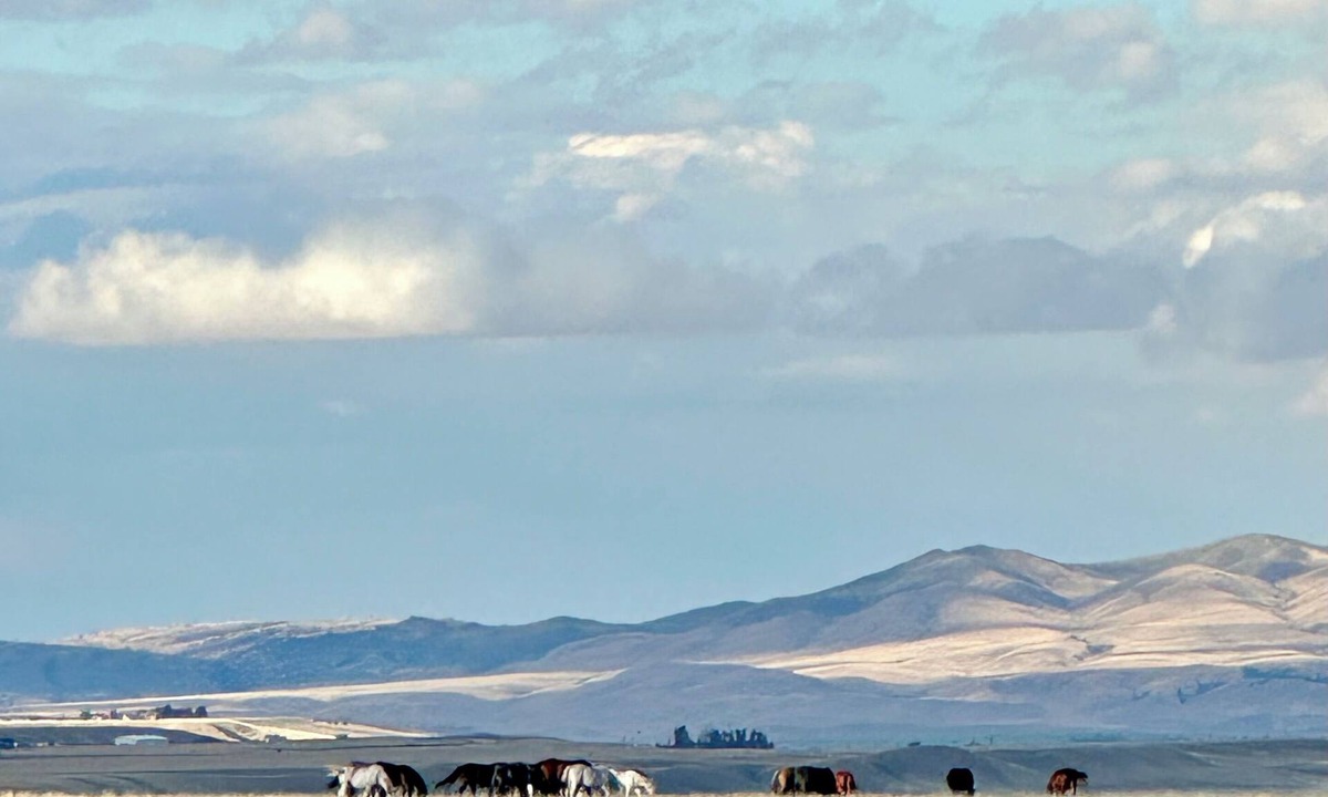 Shining Mountains Apartment | Relax in a private, designer two-story suite overlooking the Madison Valley