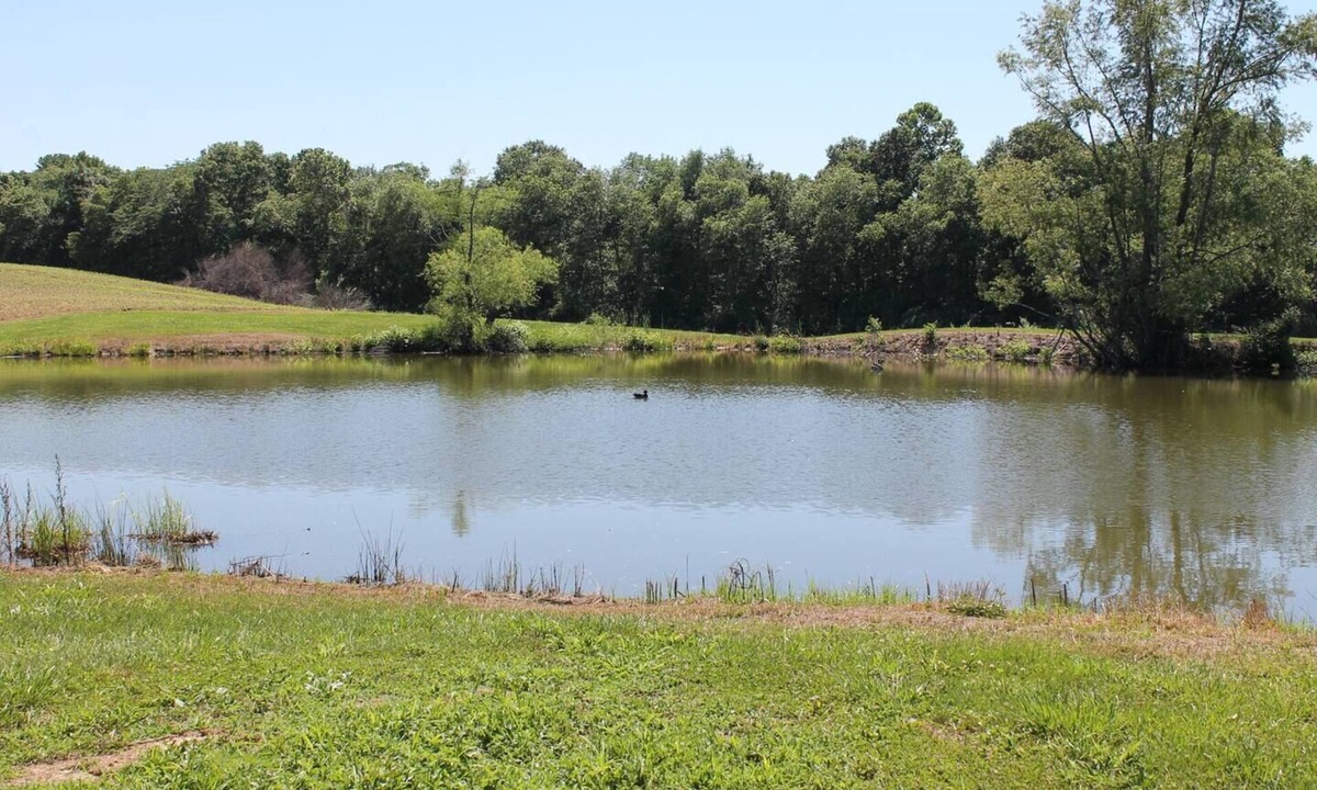 Thompsonville Cabin | Southern Il. Lodge with a View and a pond