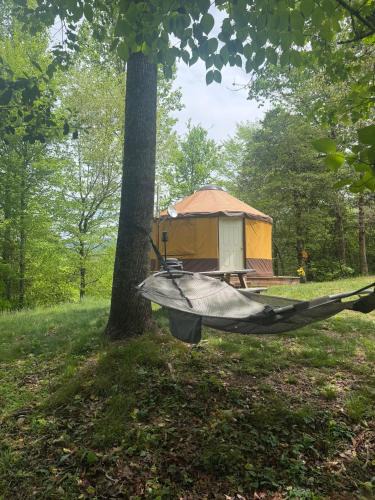 Cullowhee Other | Summerset Ridge