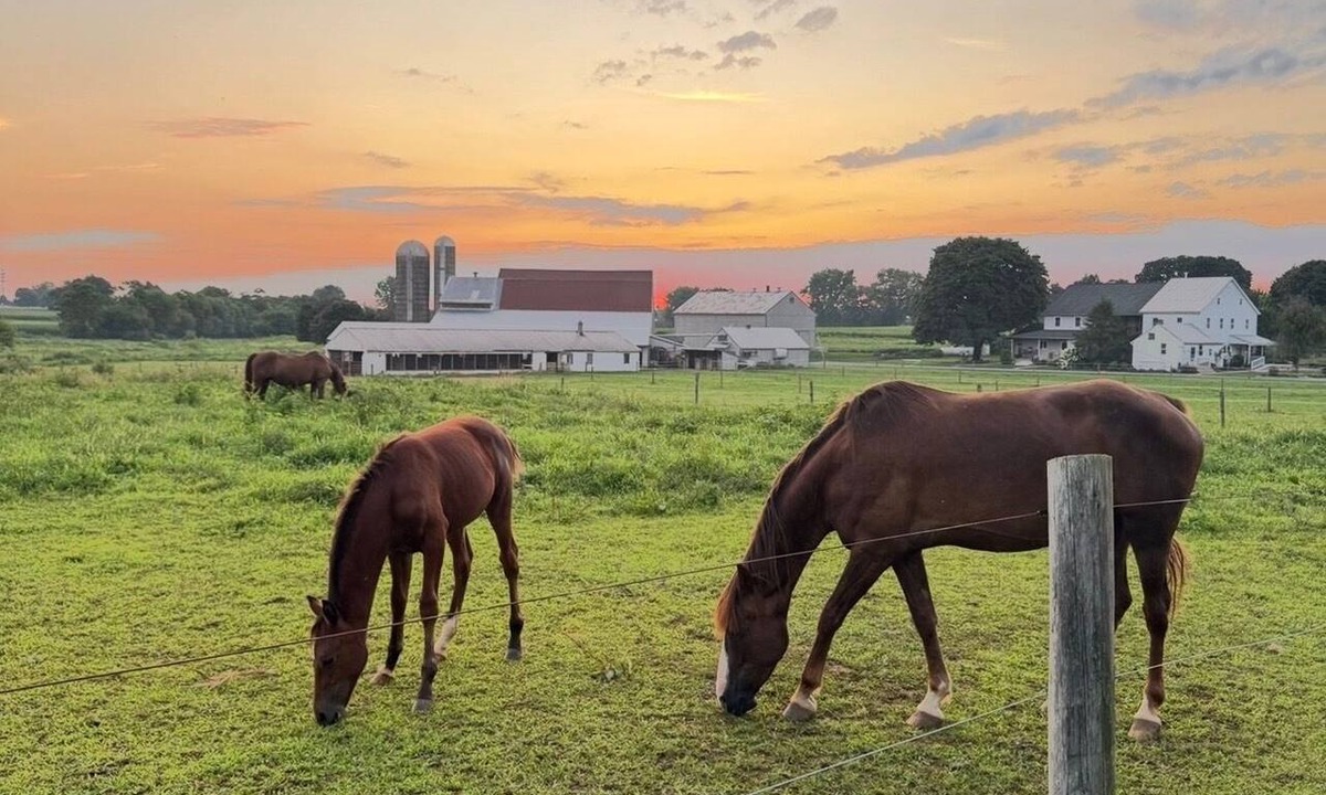 Ronks House | Sunset View Meadows