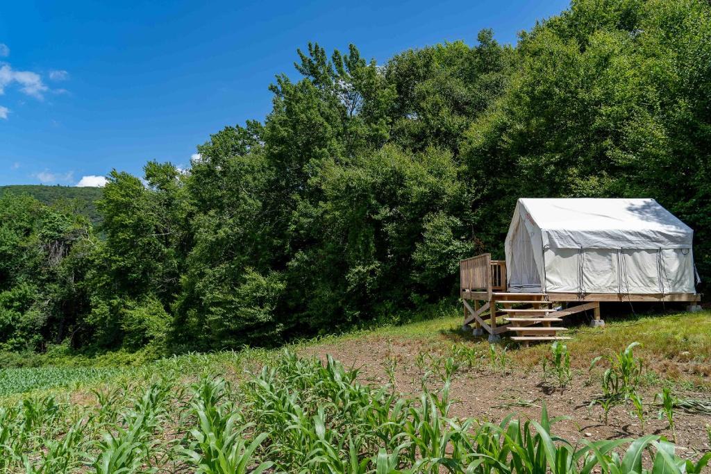 Town of Copake Other | Tentrr State Park Site - Taconic State Park High Valley Rd Site A