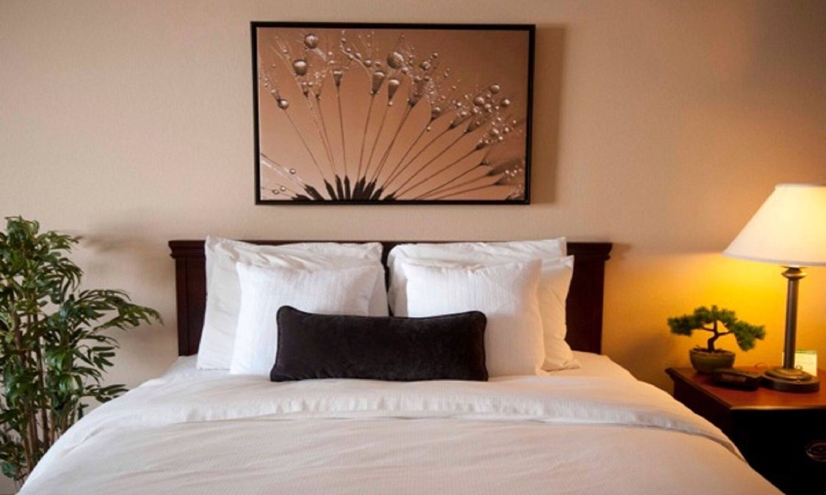 Quincy Hotel | Town & Country Inn and Suites