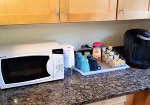 1 #31 - 4 Bedroom Condo - McCormick Place, Wintrust Arena, Chinatown