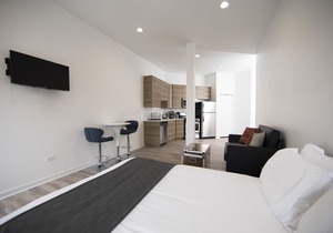 1 bedroom(s) Apartment near Chicago