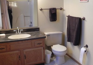 2 BR, 2 BA Galena Townhouse Near Downtown Shopping, Golf, Skiing, Hiking Trails!