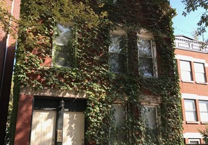 Charming One Bed in the heart of Lincoln Park