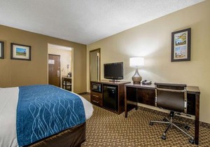 Comfort Inn Matteson - Chicago