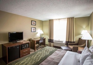 Comfort Inn Morris
