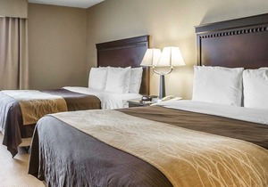 Comfort Inn & Suites Near Tinley Park Amphitheater