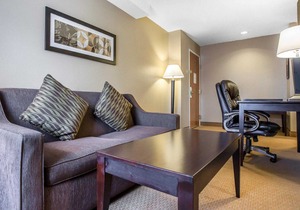 Comfort Inn & Suites Near Tinley Park Amphitheater