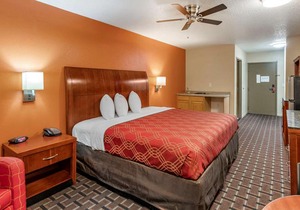 Econo Lodge Inn & Suites Granite City