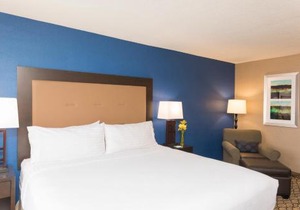 Holiday Inn Chicago - Elk Grove, an IHG Hotel