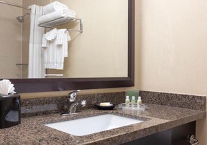 Holiday Inn Chicago - Elk Grove, an IHG Hotel