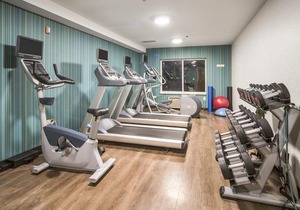 Holiday Inn Express Chicago Northwest-Vernon Hills