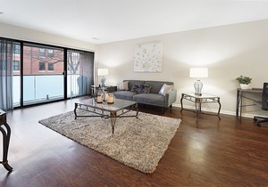 Lincoln Park Beauty| Great Location, near beach, zoo, Northwestern Hospital