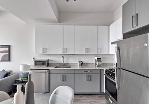 Luxe Logan Square 2BR w/Gym, Roof Deck, 1 block to L, by Blueground (ID #CHI371)
