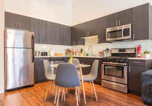 McCormick Place 420 Friendly 3BR in Downtown Chicago with Optional Parking Sleeps 8 Guests Near Soldier Field, Grant Park and Lakefront Trail