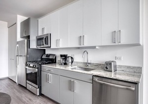 Modern Logan Square 1BR w/Roof Deck & Gym, 1 block to L, by Blueground