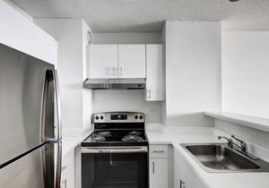 Modern Streeterville 1BR w/Gym, Pool, walk to Navy Pier, by Blueground