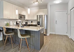 OB257 Luxurious 1BR Apt in Oakbrook