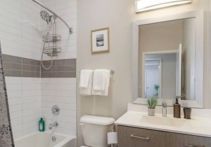 OB257 Luxurious 1BR Apt in Oakbrook