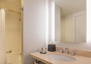 Sheraton Suites Chicago Elk Grove