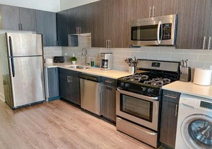 Spacious and Luxurious 3BR Near McCormick Place and Soldier Field with Optional Parking - Sleeps 10