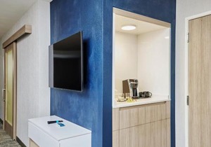 SpringHill Suites by Marriott Chicago Chinatown