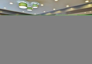 Wyndham Garden Elk Grove Village/O'Hare