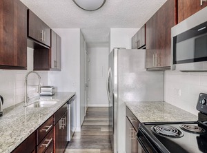 Wells Apartments St Chicago | Rush and Division