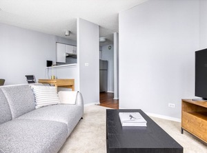 Wells Apartments St Chicago | Streeterville