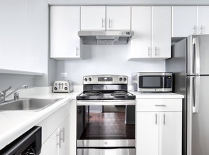 Wells Apartments St Chicago | Streeterville