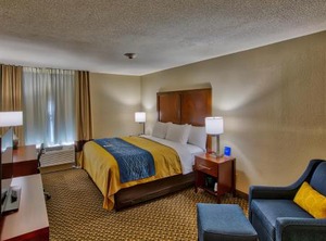 Comfort Inn Edwardsville Louis | Mitchell