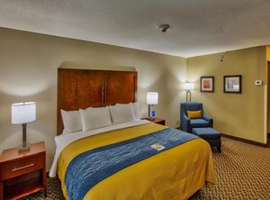 Comfort Inn Edwardsville Louis | Mitchell