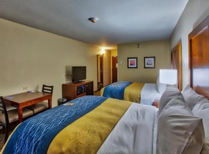 Comfort Inn Edwardsville Louis | Mitchell