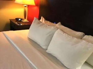 Comfort Inn | Morton