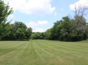 Pine Country Camping Resort | Clare
